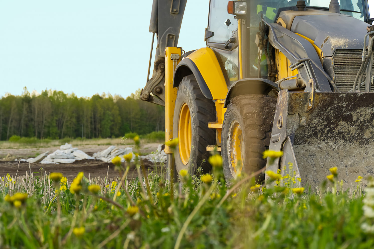 Рекультивация земель и территорий